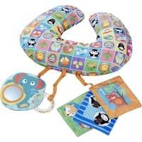 Chicco Move n Groove Animal Tummy Time Pillow Photo