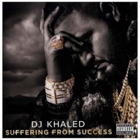 Universal Music Group SUFFERING FROM SUCCESS CD Photo