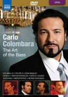 Carlo Colombara: The Art of the Bass Photo