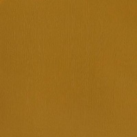 Winsor Newton Winsor & Newton Artist Acrylic - Yellow Iron Oxide Photo
