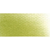 PanPastel - Bright Yellow Green Shade Tint 3 Photo