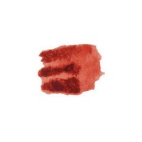 Daniel Smith Watercolour - Quinacridone Burnt Scarlet Photo