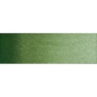Old Holland Watercolour - Chromium Oxide Green Photo
