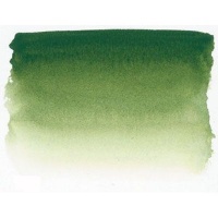 Sennelier S1 Watercolour Tube - Sap Green Photo