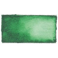 Daniel Smith Watercolour Paint - 5ml - Hooker's Green Photo