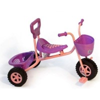 Peerless Kids Basket Trike - Pink & Purple Photo