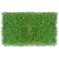 Evergreen Press Evergreen Artificial Grass 2 Tone Photo