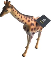 National Geographic Giraffe Photo
