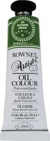 Daler Rowney Artists Oil Colour - 301 Alizarin Green - Series C Photo
