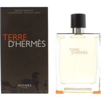 Hermes Terre D' EDT Spray 200ml - Parallel Import Photo