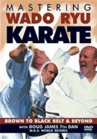 Mastering Wado Ryu Karate Photo