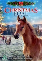The Christmas Foal Photo