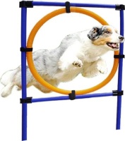 Rex Dog Hoop Jump Training Set Photo