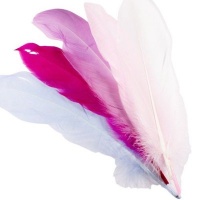 Dala Pastel Goose Feathers - 15cm Photo