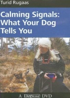 Calming Signals - What Your Dog Tells You Photo