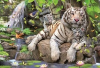 Educa White Tigers of Bengal - 1000 Piece Puzzle Photo