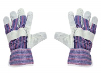 Fragram - Candy Stripped Work Gloves Photo