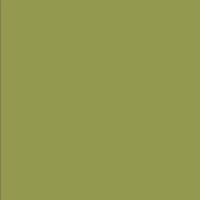 American Crafts Olive Textured Cardstock - 10 Sheets Photo