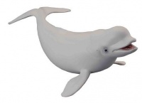 CollectA Beluga Whale Photo