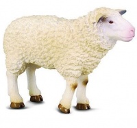 CollectA Sheep - Medium Photo