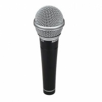 Samson R21 Vocal/Recording Microphone Photo