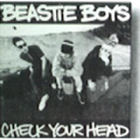 Beastie Boys - Check Your Head Photo