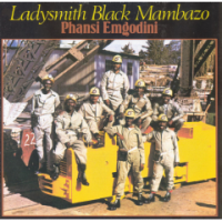 Ladysmith Black Mambazo - Phansi Emgodini. Photo