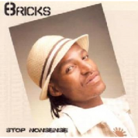 Bricks - Stop Nonsense Photo