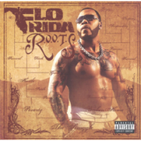Flo Rida - Routes Of Overcoming The Struggle Photo