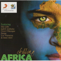 Chilling Africa - Various Artists Photo