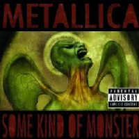 Metallica - Some Kind Of Monster Photo