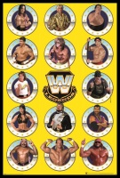 WWE - Legends Chrome Poster with Black Frame Photo