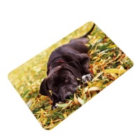 Doormat Golden Labrador Black Photo