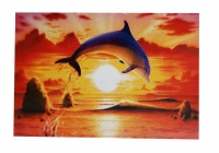Diamond Dot Art painting - 30x40 - Dolphin Photo