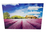 Diamond Dot Art painting - 30x30 - Purple Fields Photo