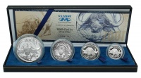 SA Mint 2001 Big 5 Buffalo Proof Silver Set from the 2oz Silver to 1/4oz Photo
