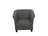 Prince Tub Chair - Grey Photo