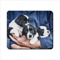 Mouse Pad - Puppies In Arm Photo