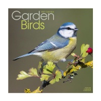 CHEF HOME Garden Birds 2021 Wall Calendar - Birds Photo