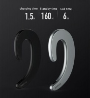 Remax RB-T20 Silver Ultra Thin Earphone With Mic Photo