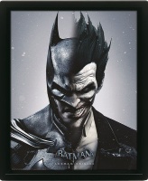 DC Comics Batman Arkham Origins - Batman/Joker Photo