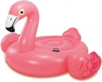 Flamingo Inflatable Ride-On Photo