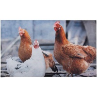 Esschert - Doormat Chickens Photo