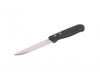 Cater Care Plastic Handle Steak Knife 127 mm Photo