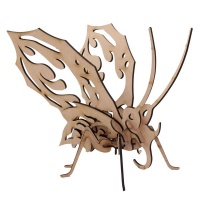 Wow We - 3D Wooden Model Insects Sitting Butterfly Firewings Photo