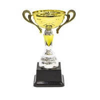Terrific Trophies Olympic Cup Trophy Including Base - Small Photo