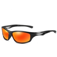 Dubery Polarized Sunglasses - D166/7 Photo