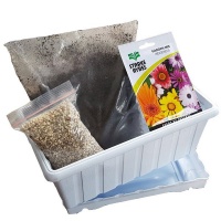 Flower Seeds Grow Kit With Pot - White Photo