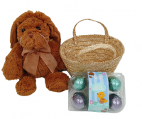 Flopsy the Easter Bunny & Chocolate Easter Gift Basket Photo