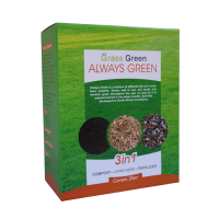 Grass Green Lawn Seed - Always Green 3" 1 - Covers 25 m2 Photo